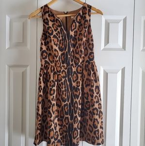 Animal print dress-Loft